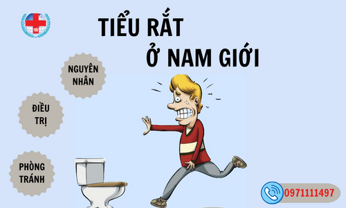 TIỂU RẮT.png