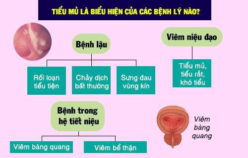 1-2101061H11aH.jpg